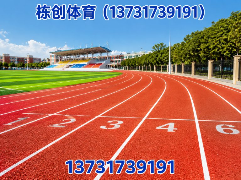 河北沧州经济开发区EPDM场地展示图